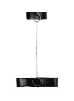 Harness with Rings