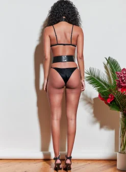 Harness with Rings