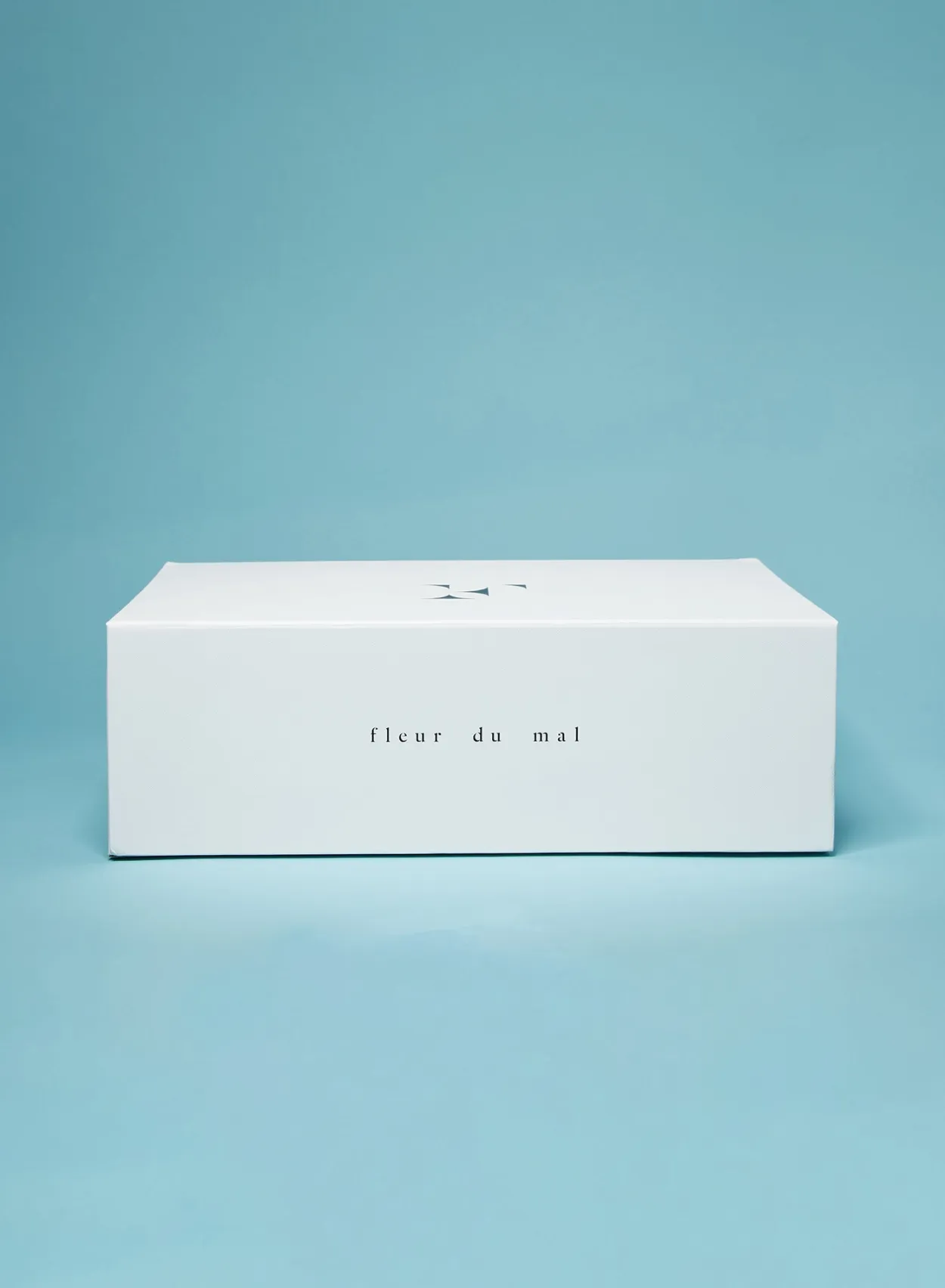 Large Gift Box