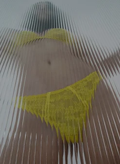 Le Stretch Lace Cheeky