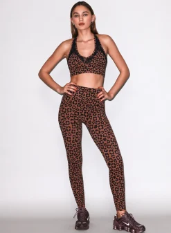 Le Stretch Lace Sports Bra